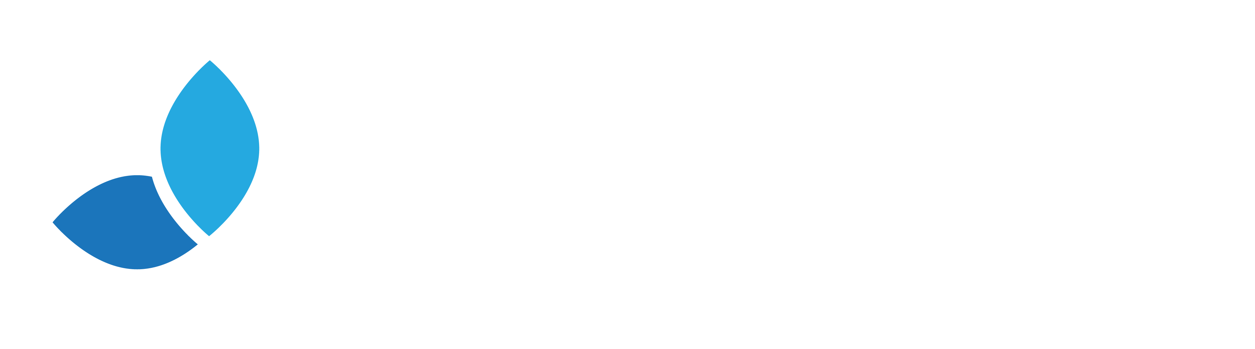 Efecta